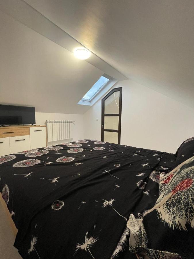 Casa Dan Lägenhet Buzău Exteriör bild